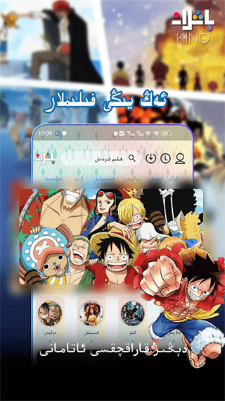 鸮鹦鹉学星语唤极光壁纸